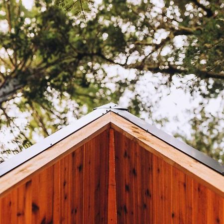 The Treeframe Cabin Villa Index Dış mekan fotoğraf