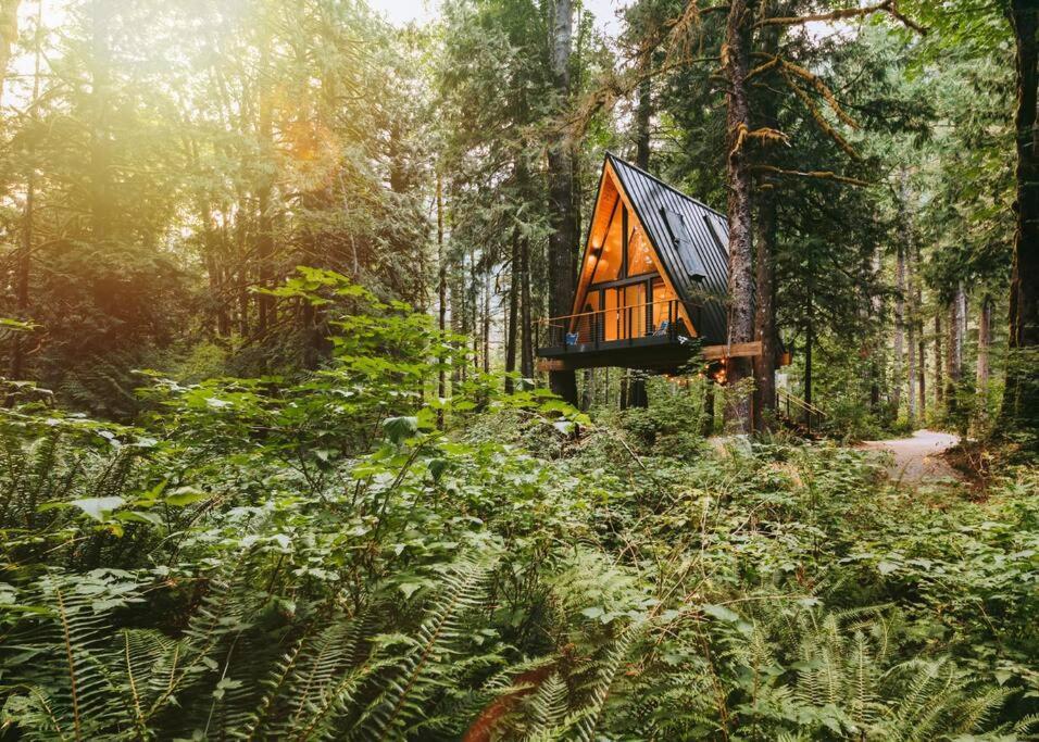 The Treeframe Cabin Villa Index Dış mekan fotoğraf