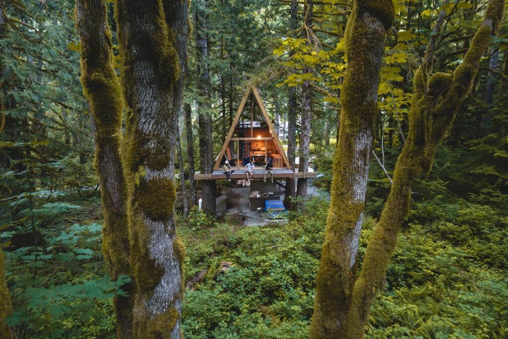The Treeframe Cabin Villa Index Dış mekan fotoğraf