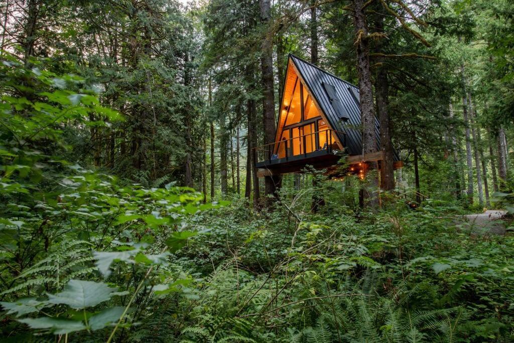 The Treeframe Cabin Villa Index Dış mekan fotoğraf